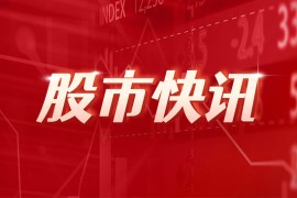 【国容股份终止深交所IPO 原募资8.48亿】